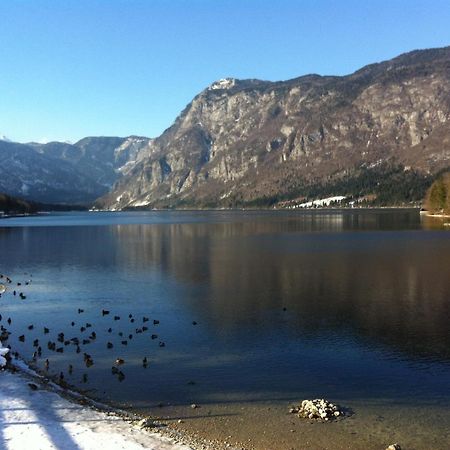 Bistrica 1 Lägenhet Bohinj Exteriör bild
