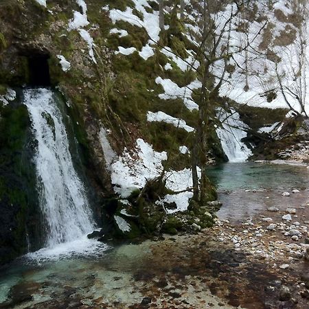 Bistrica 1 Lägenhet Bohinj Exteriör bild