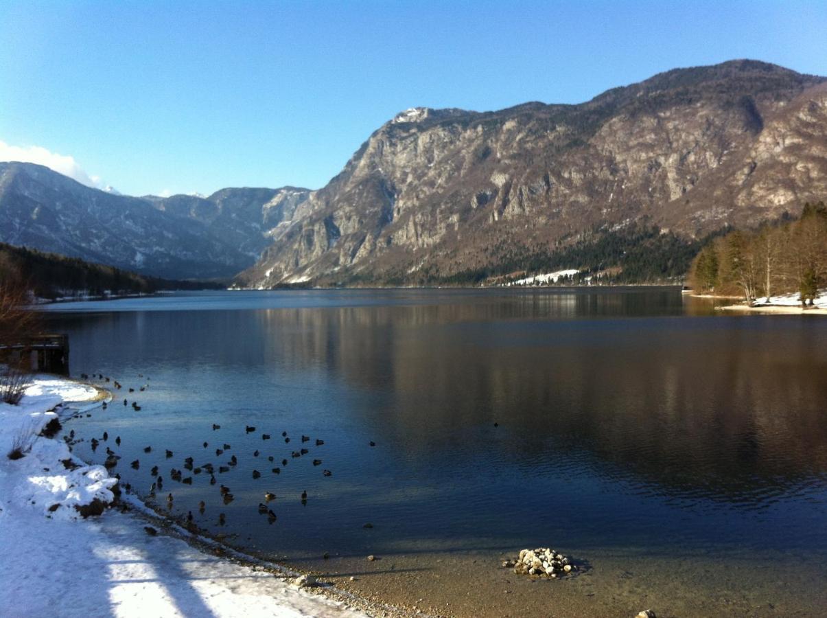 Bistrica 1 Lägenhet Bohinj Exteriör bild